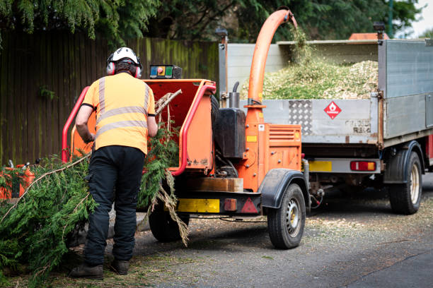 Best Tree Branch Trimming  in Dysart, IA